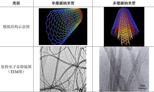 科創新星啟航，首批九企聚焦科技前沿與納米材料研發